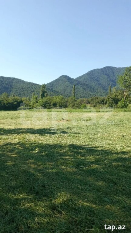 1000 sot torpaq sahəsi, Balakən r. (6)