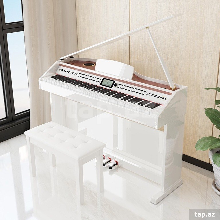 Elektro piano "Allegro RK - 222" (10)