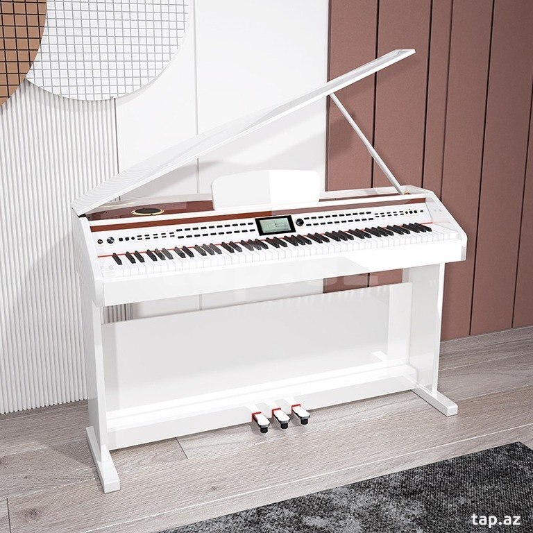 Elektro piano "Allegro RK - 222" (3)