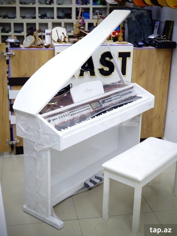 Elektro piano "Allegro RK - 222" (9)