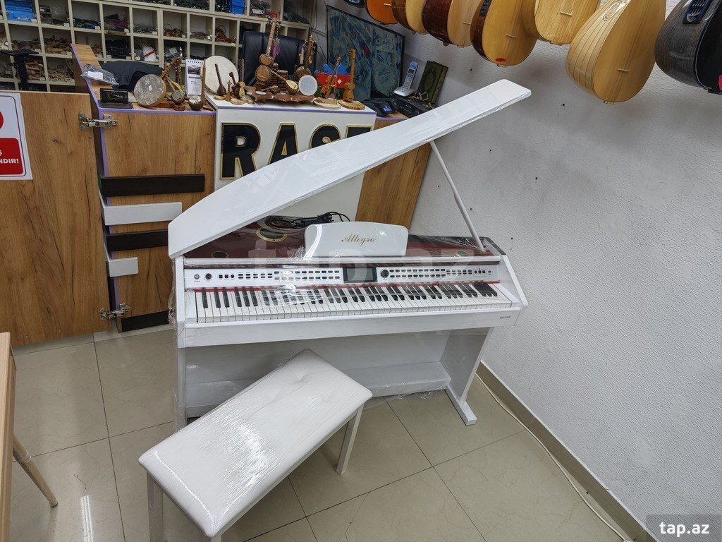 Elektro piano "Allegro RK - 222" (6)