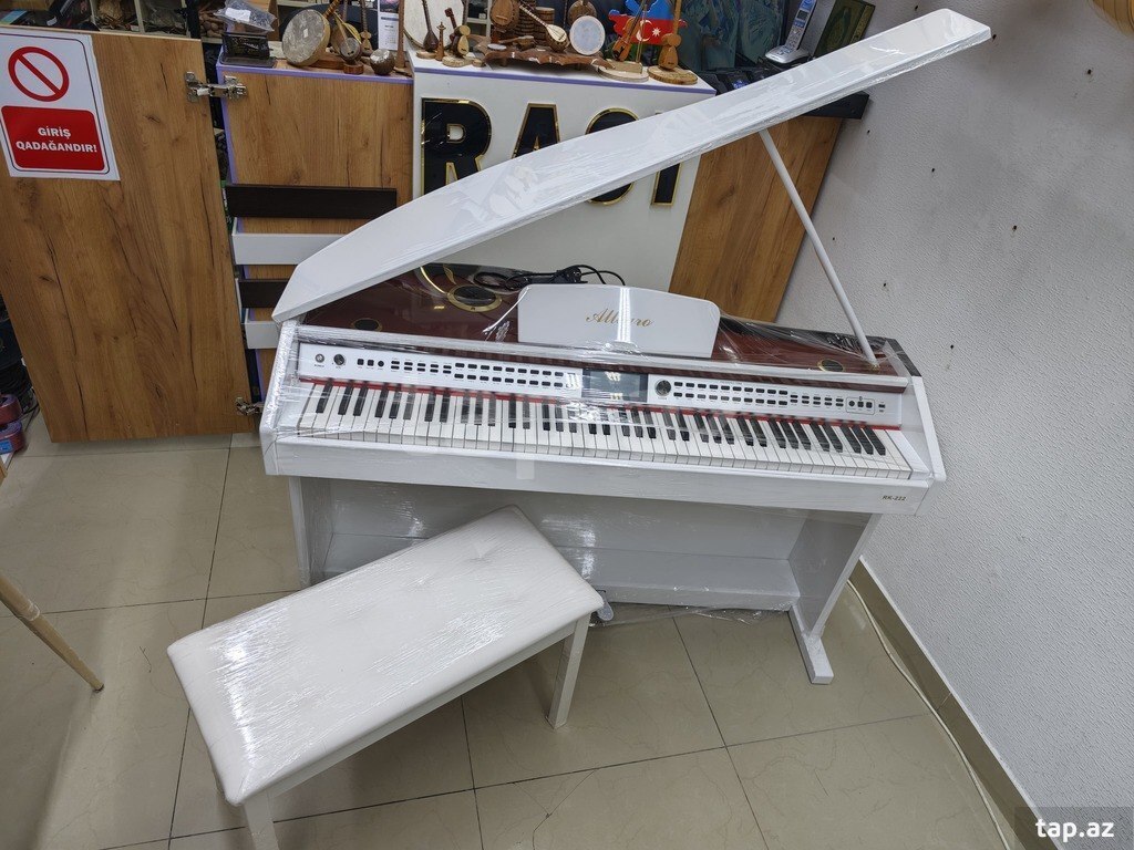Elektro piano "Allegro RK - 222" (5)