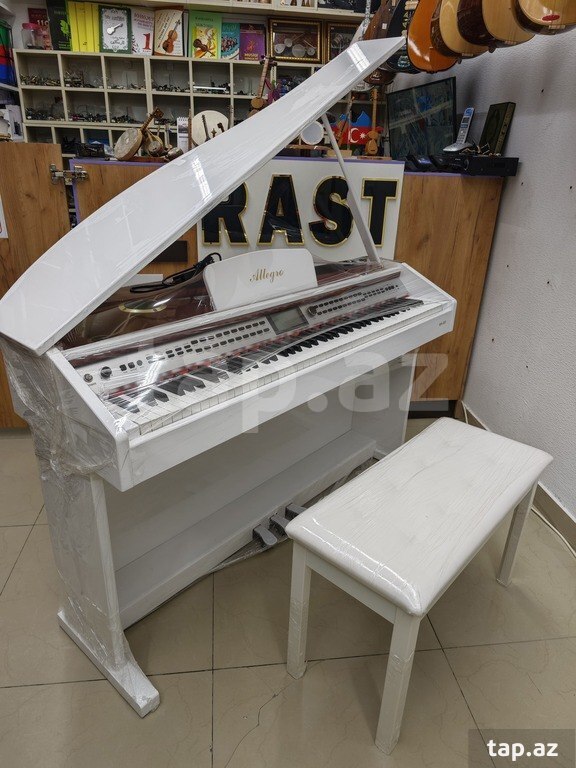 Elektro piano "Allegro RK - 222" (8)