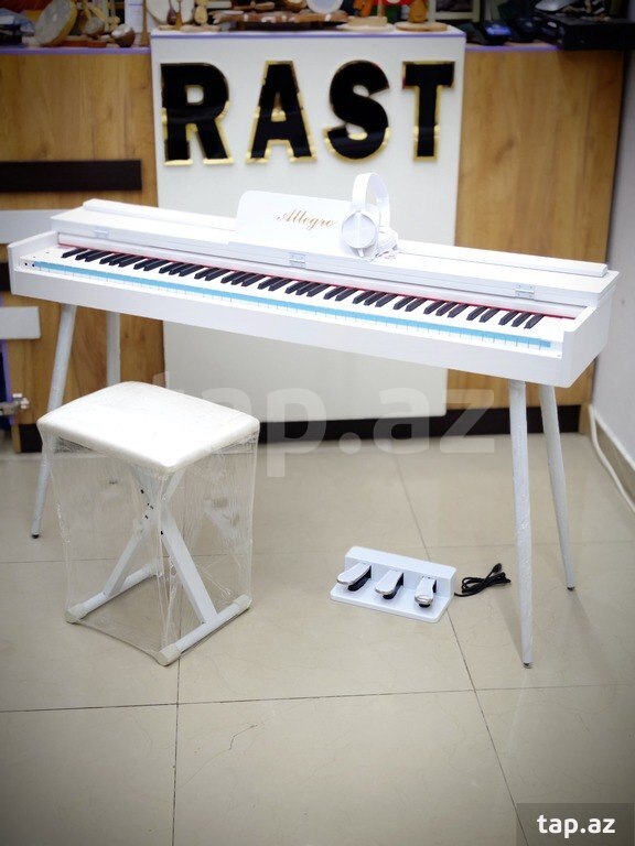 Elektro piano (6)