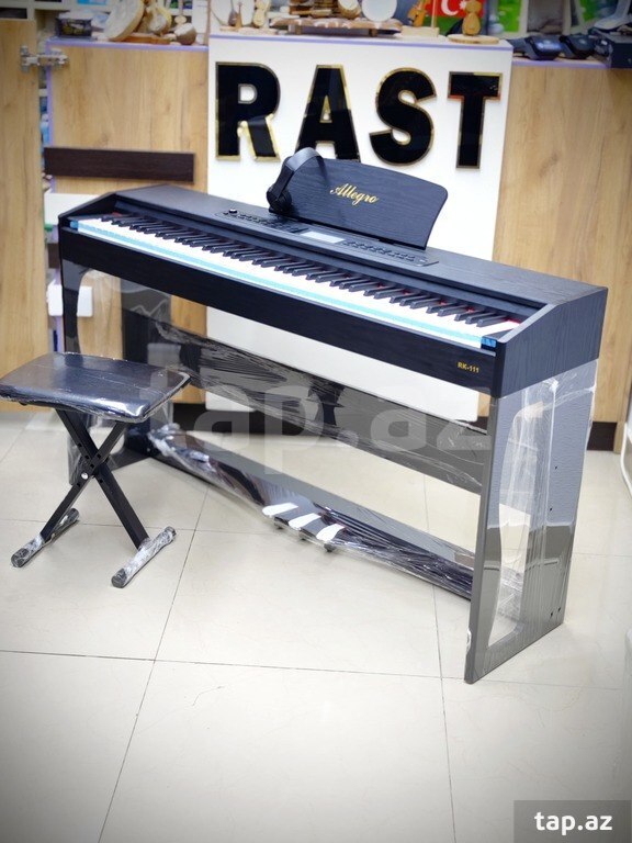 Elektro piano (10)