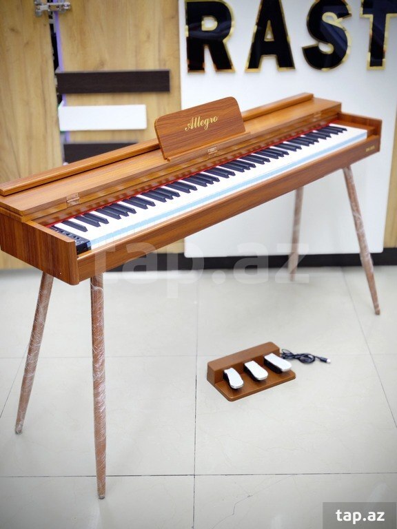 Elektro piano (8)
