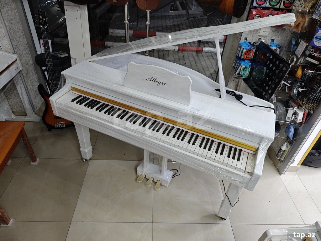 Elektro piano (5)