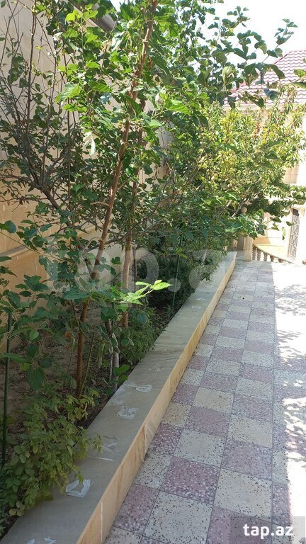 Həyət evi, Qaracuxur qəs.