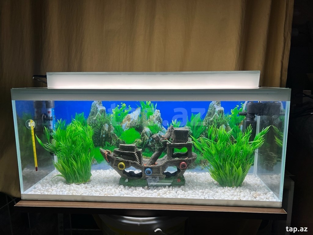 Akvarium