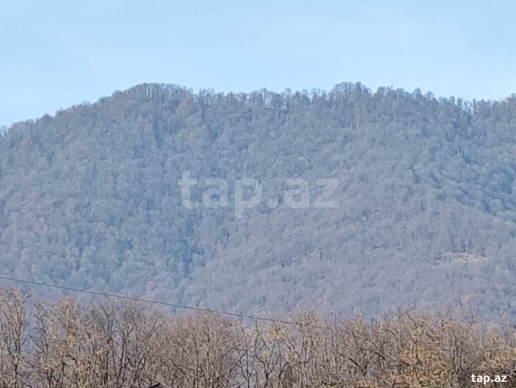 Həyət evi, Zaqatala r.