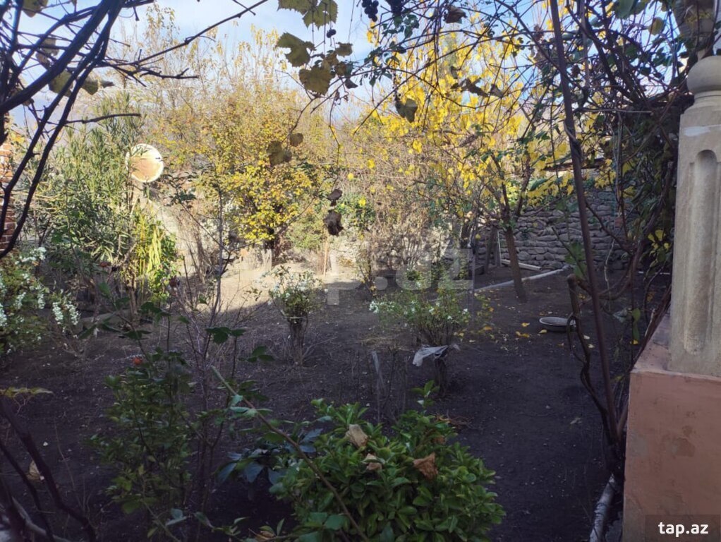 Həyət evi, Zaqatala r.