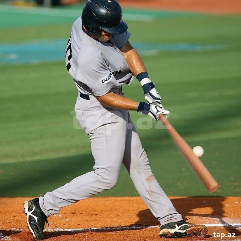 Baseball bat-wooden (6)