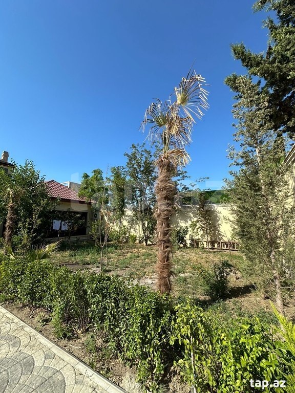 Villa kirayə verilir, Mərdəkan qəs. (14)