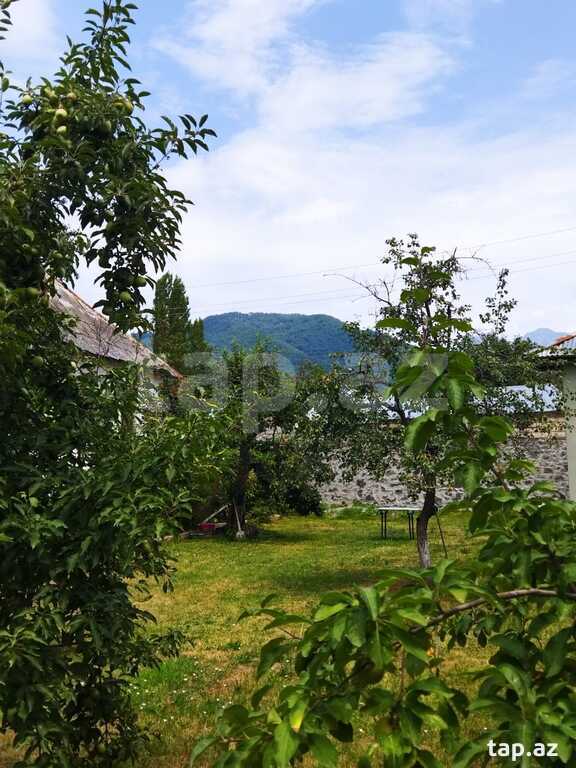 Həyət evi, Oğuz r.