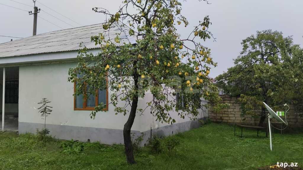 Həyət evi, Oğuz r.