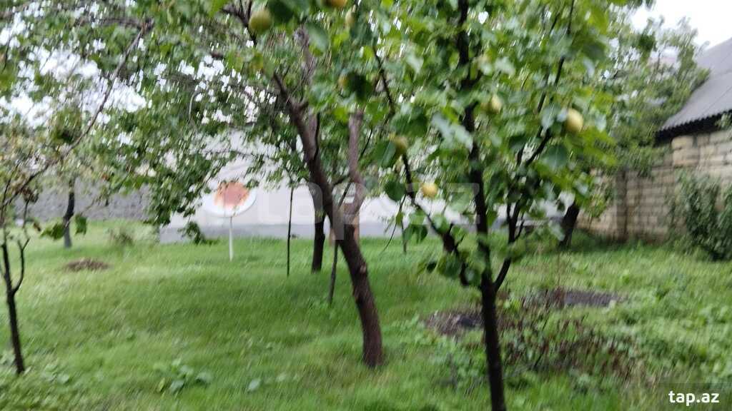 Həyət evi, Oğuz r.