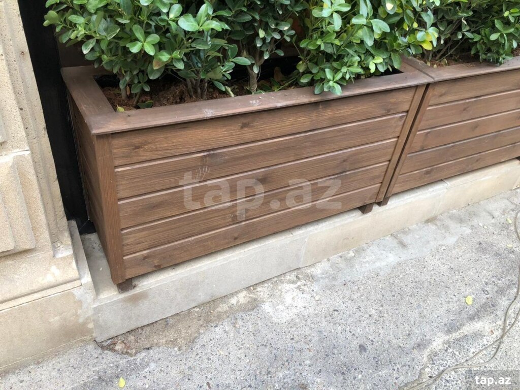 Taxta dibçəklər (12)