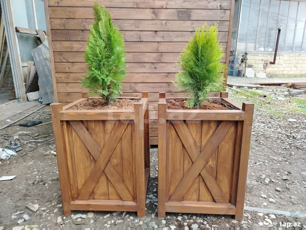 Taxta dibçəklər (8)