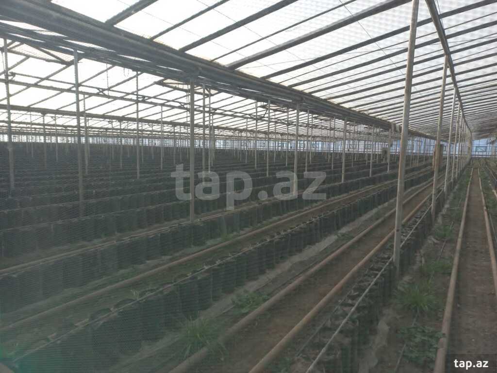 700 sot torpaq sahəsi, Siyəzən r.