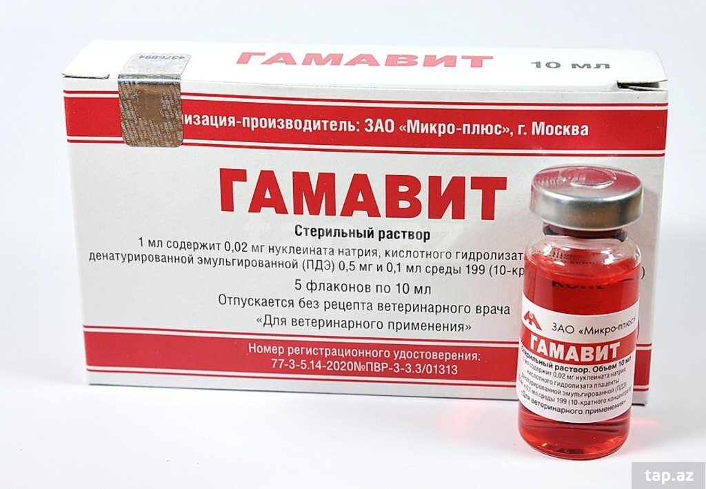 Qamavit