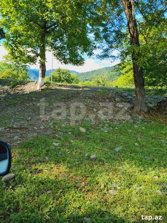 60 sot torpaq sahəsi, Zaqatala ş. (11)