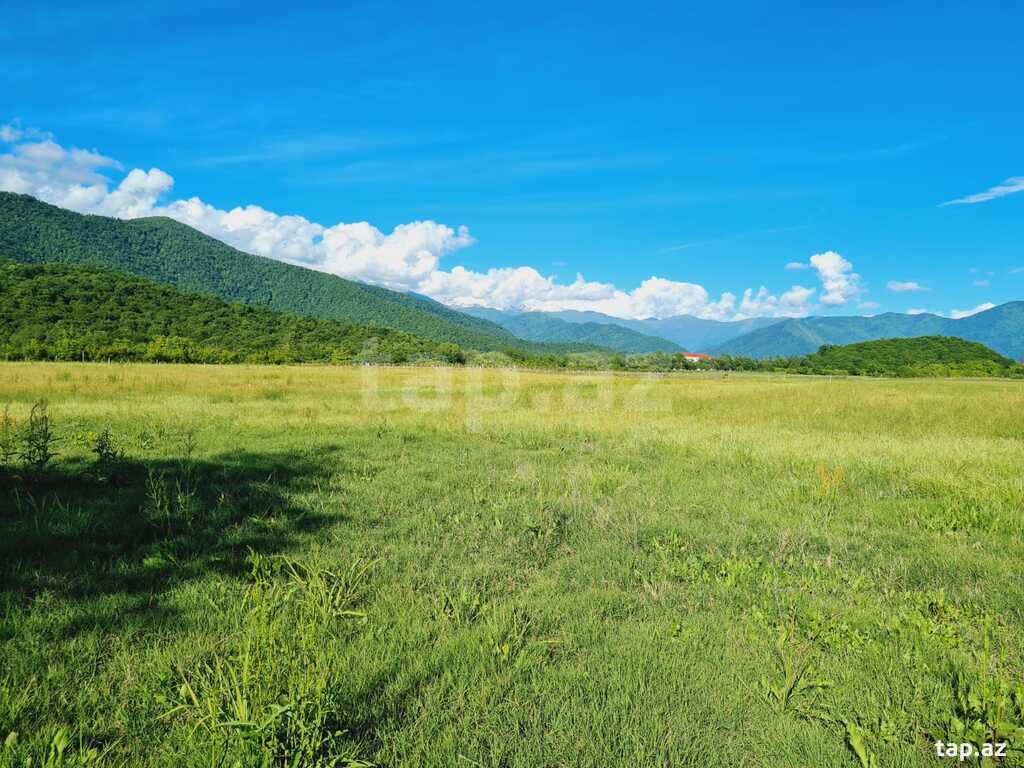 60 sot torpaq sahəsi, Zaqatala ş. (10)
