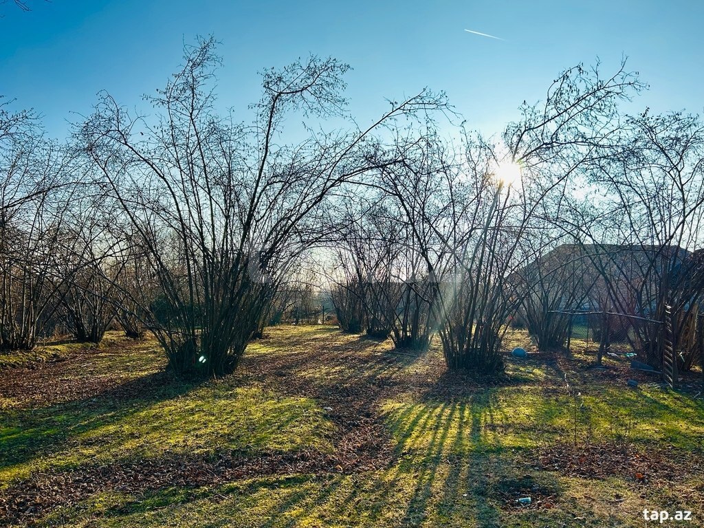 Həyət evi, Oğuz r.