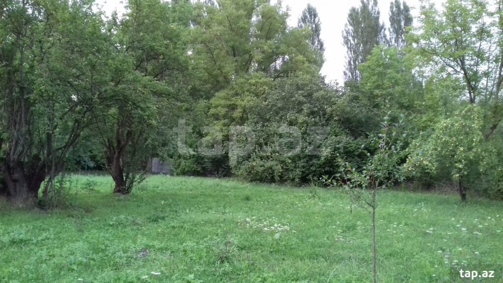 Həyət evi, Quba r.