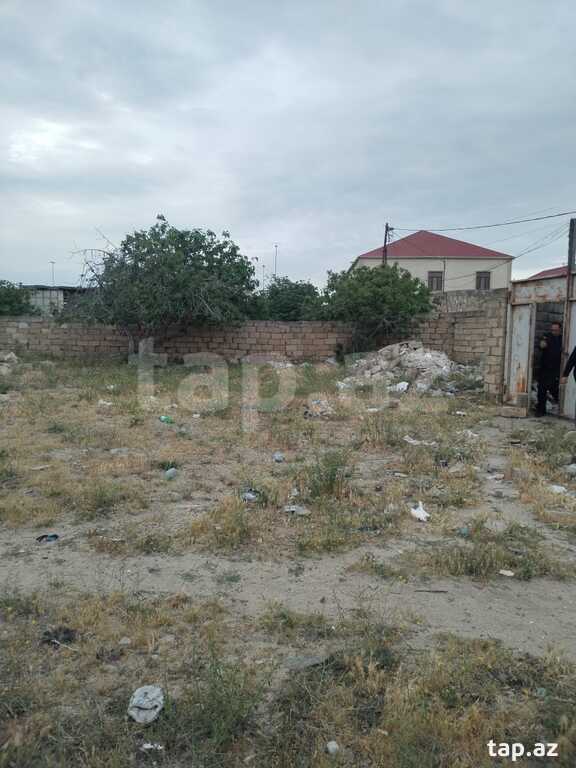 11 sot torpaq sahəsi, Bilgəh qəs. (5)