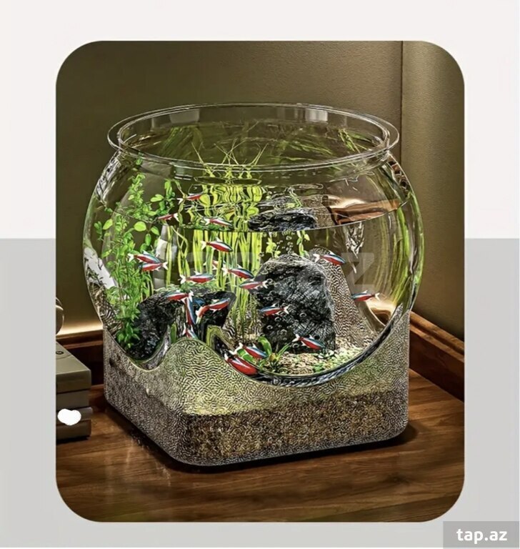 Akvarium 