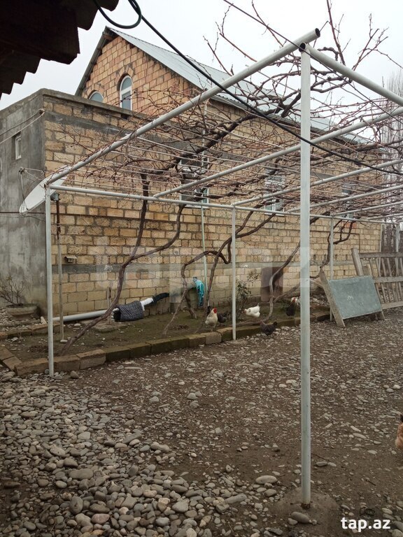 Həyət evi, Şabran r. (5)