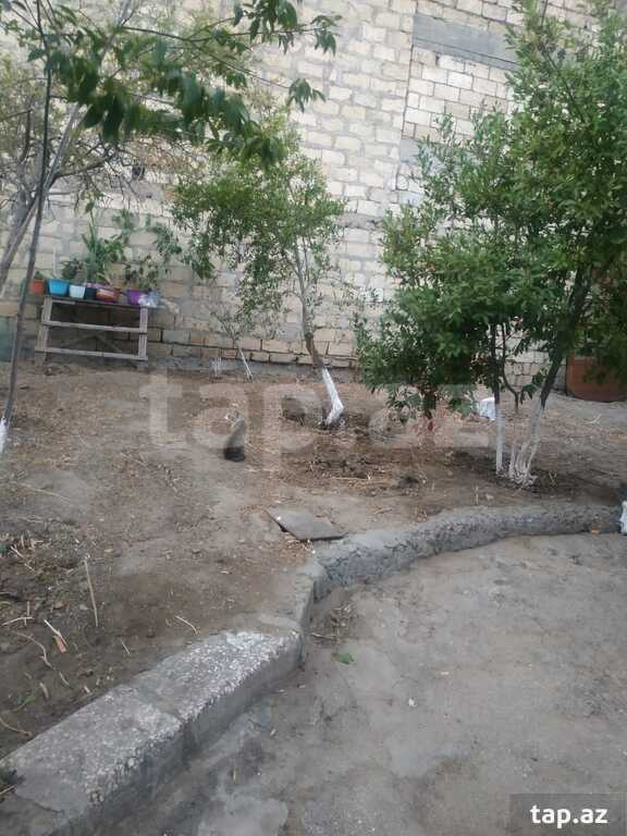 4.5 sot torpaq sahəsi, Cəfər Xəndan küç. (10)