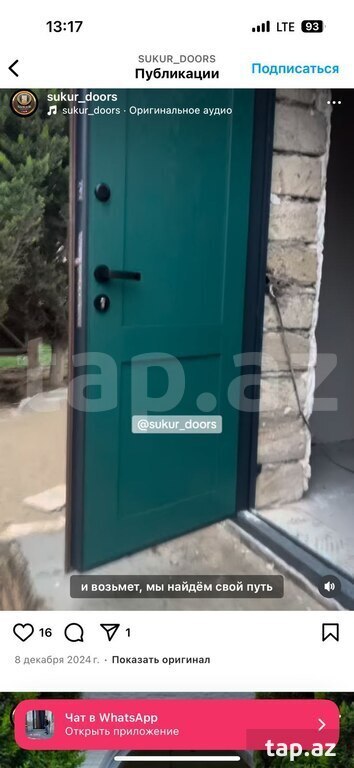 Dəmir qapı (4)