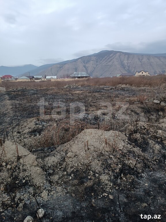 Torpaq satılır, Şəki