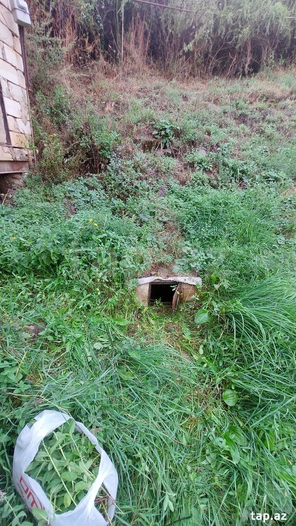 Bağ evi, Gədəbəy r.