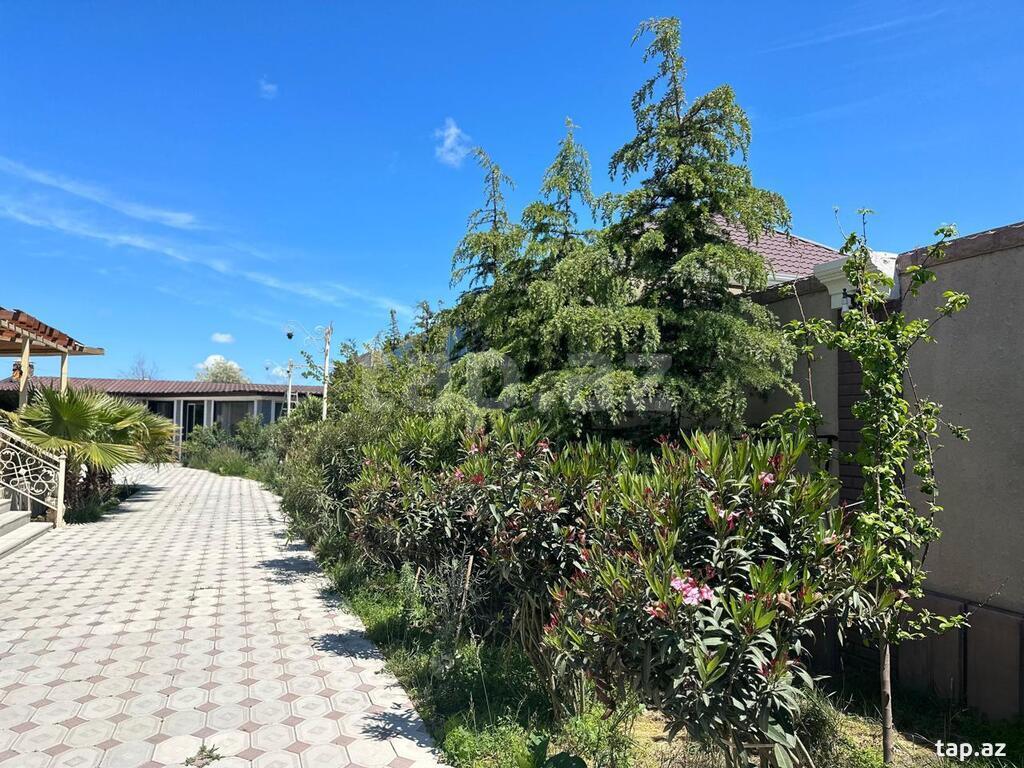 Bağ evi kirayə verilir, Şüvəlan qəs. (7)