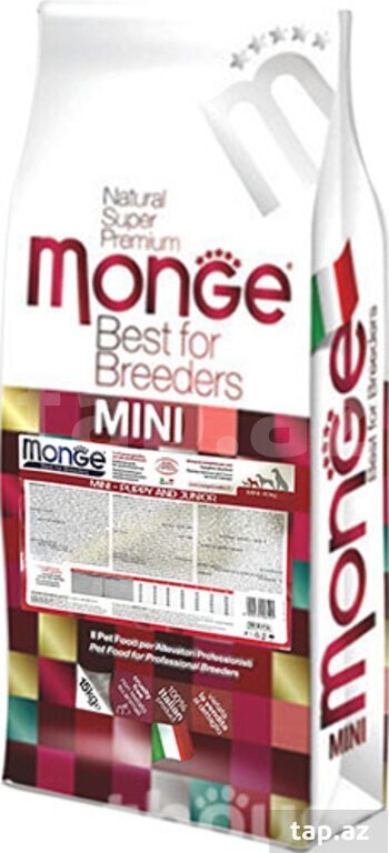 Monge mini puppy and junior