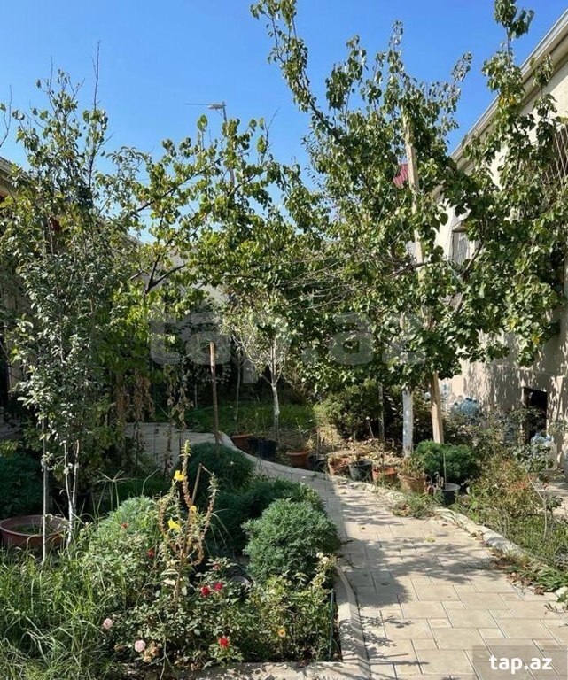 Həyət evi, Yeni Ramanı qəs. (6)