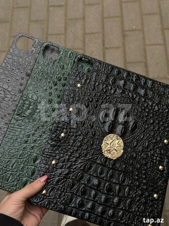 "Apple iPad " arxalıqları