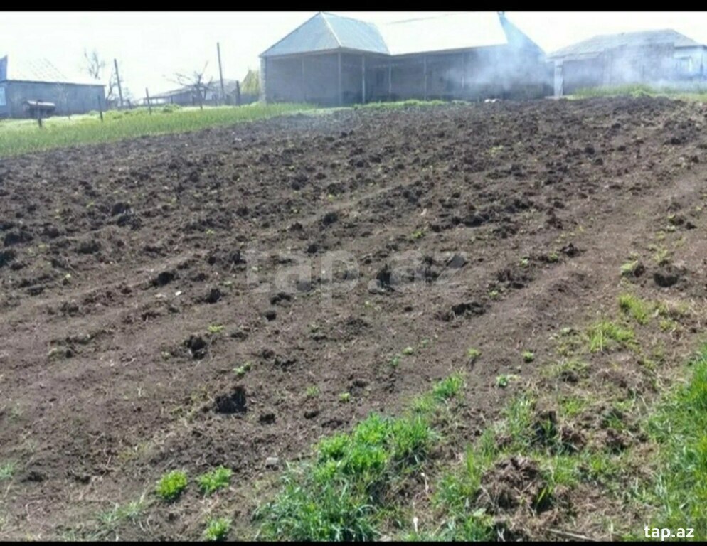 Земельный участок на продажу, Исмаиллы, Исмаиллы
