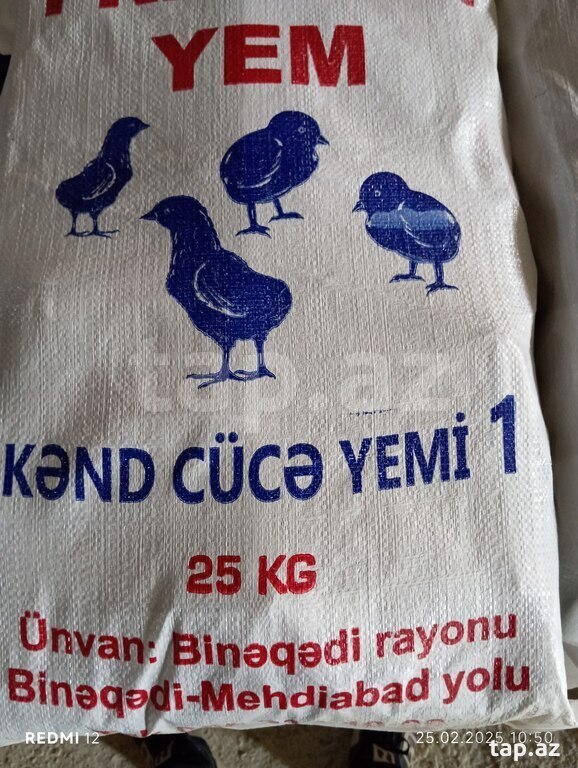 Toyuq cücə yemi