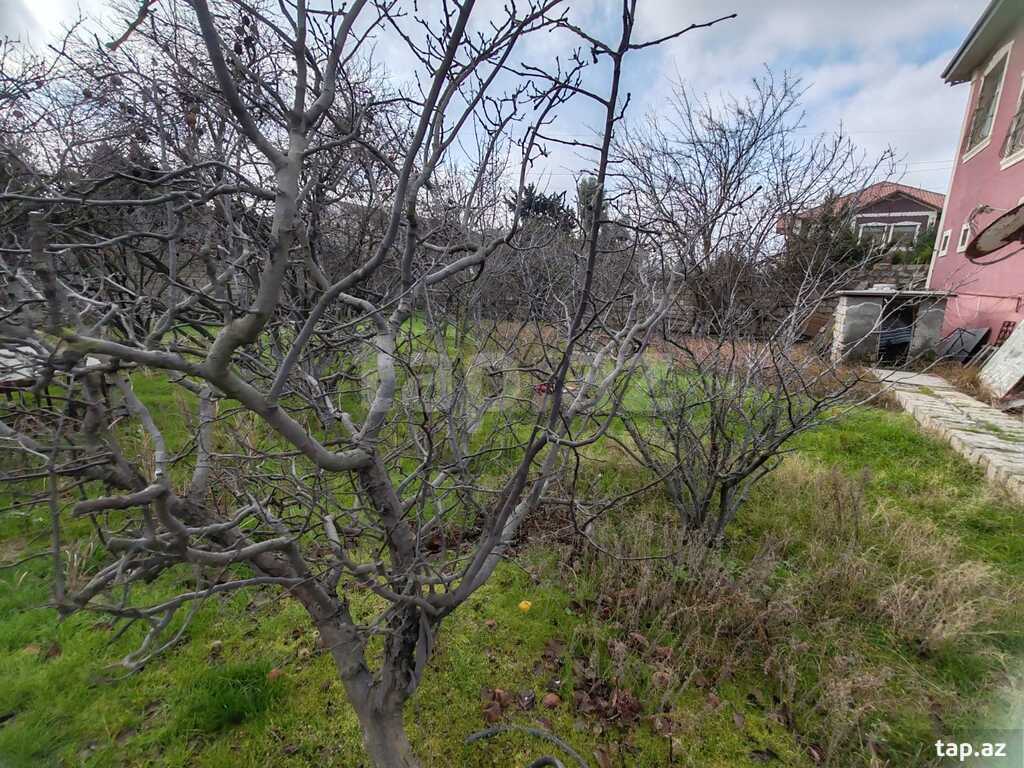 Həyət evi, Buzovna qəs.