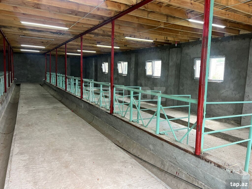 Obyekt, Samux r.