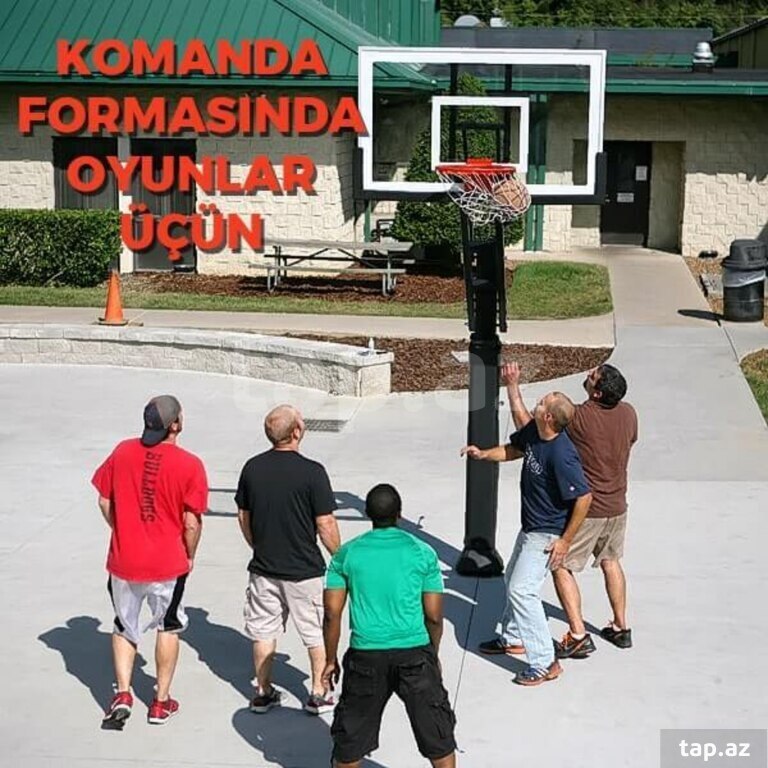 Basketbol səbəti (2)
