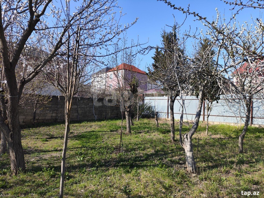 4 sot torpaq sahəsi, Masazır qəs.