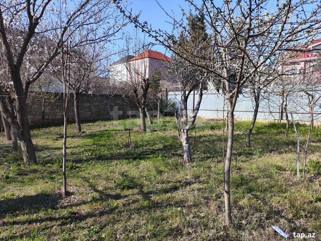 4 sot torpaq sahəsi, Masazır qəs. (7)
