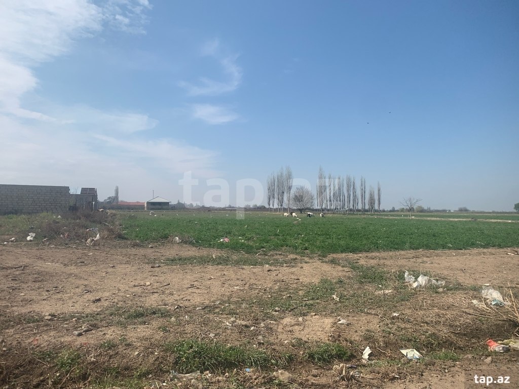 24 sot torpaq sahəsi, Samux r.