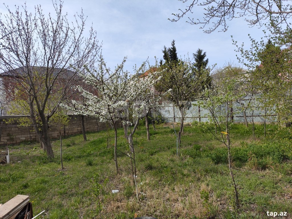4 sot torpaq sahəsi, Masazır qəs. (4)