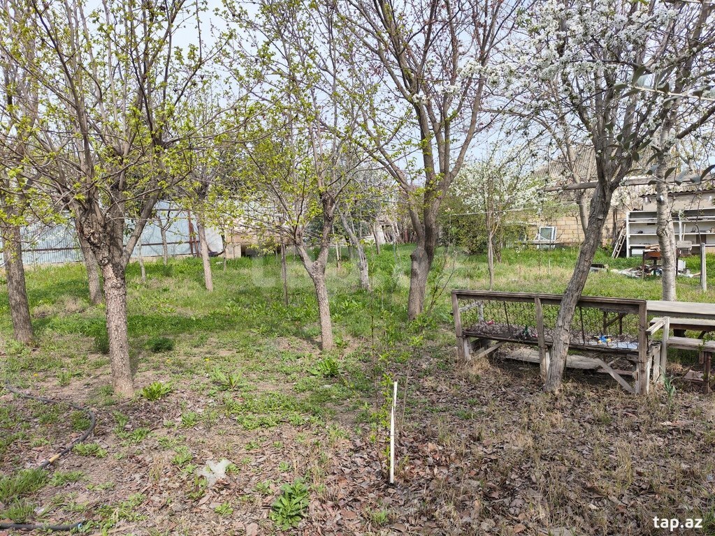 4 sot torpaq sahəsi, Masazır qəs. (5)