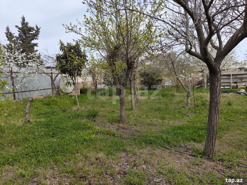 4 sot torpaq sahəsi, Masazır qəs. (6)